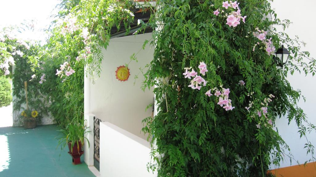 Palm Villa Estudios Lagos Exterior photo